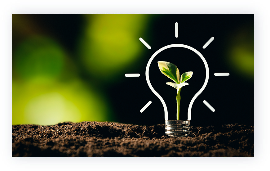 light bulb standing on dirt with a small plant inside it